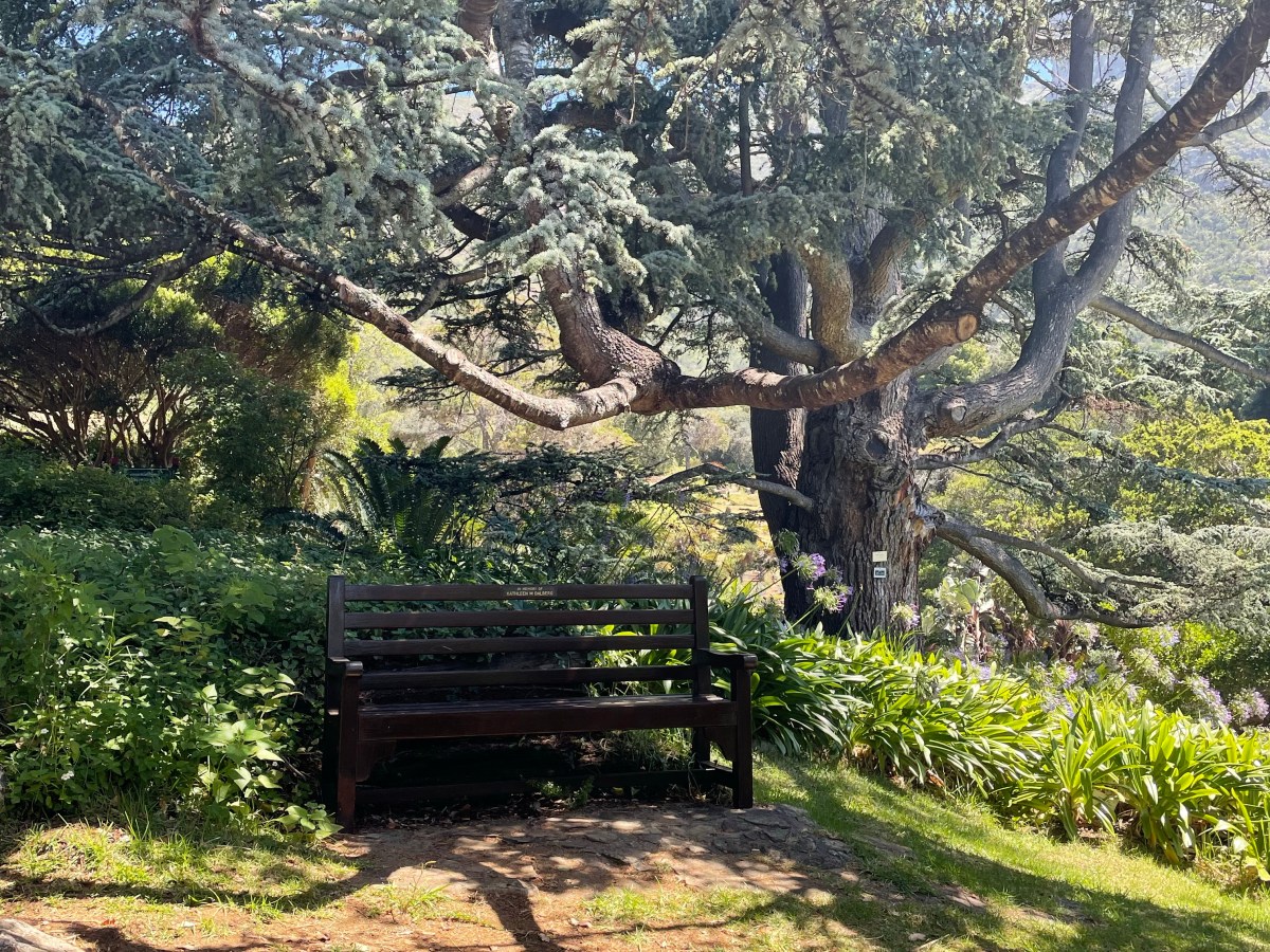 Cape Town –&nbsp;Sunday